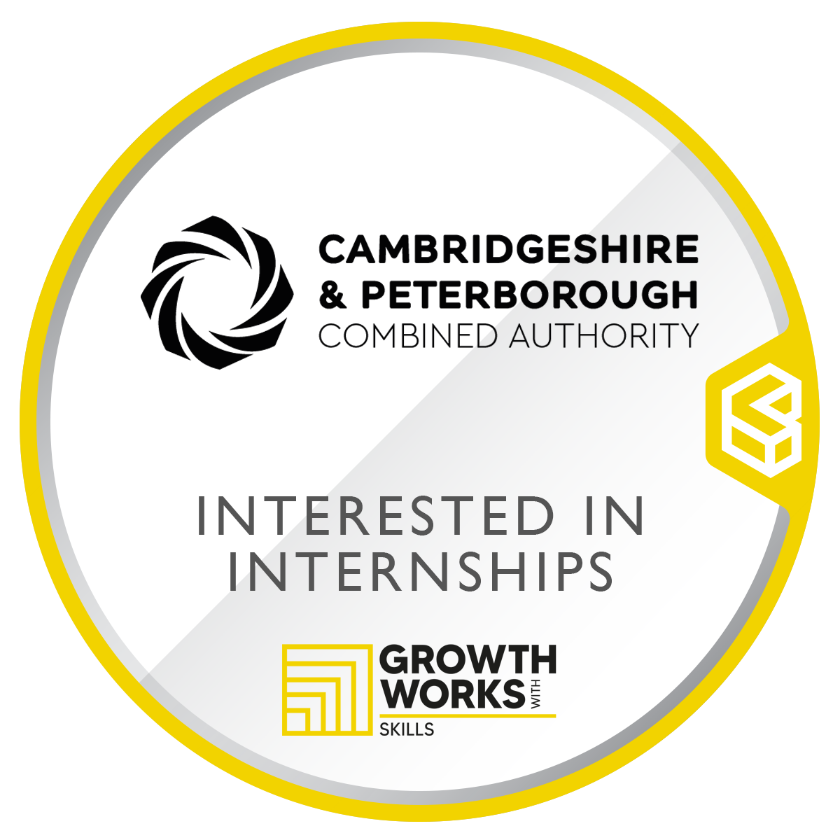 Interested in Internships digital badge